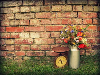 Potted plant on wall