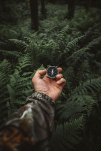 Survivor man searching the directions with a magnetic compass in the wilderness green forest	
