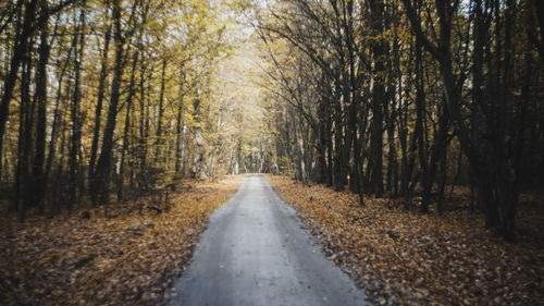 Road amidst trees in forest during autumn