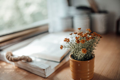 Close-up of potted plant on table