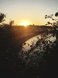 Scenic view of silhouette trees against sky during sunset