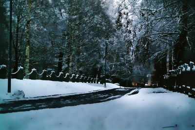 Snow covered trees in winter