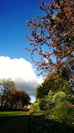 Trees against sky during autumn