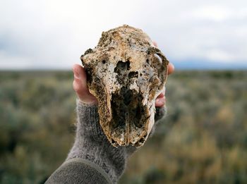 Close-up of hand holding animal skull against sky