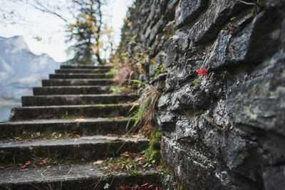 Low angle view of a steps