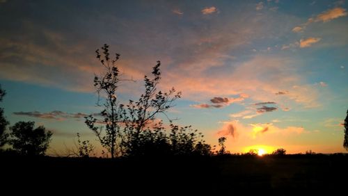 Silhouette trees against sky during sunset