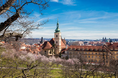 Prague city seen from the petrin gardens at the begining of spring