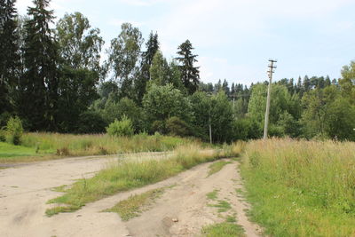 Dirt road passing through landscape