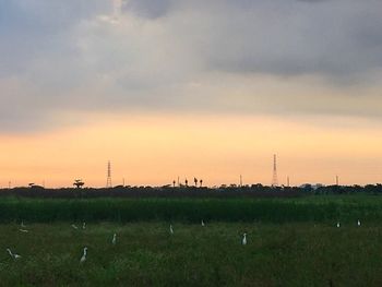 Scenic view of field against sky at sunset