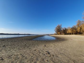 Scenic view of beach against blue sky