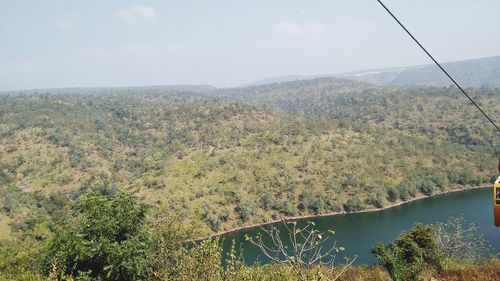 Scenic view of forest against sky