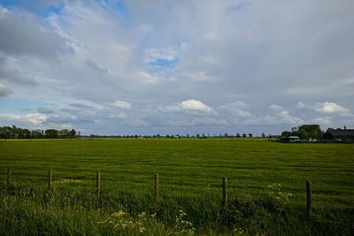 Scenic view of agricultural field against sky