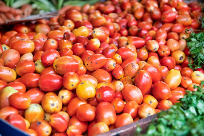 Close-up of tomatoes for sale in market