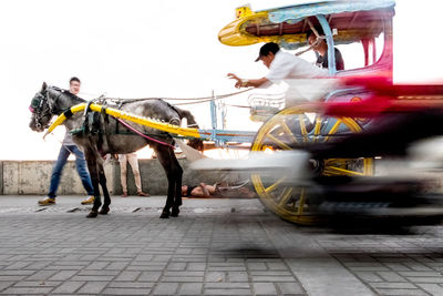 Rear view of woman riding elephant