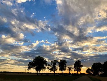 Silhouette trees on field against sky during sunset