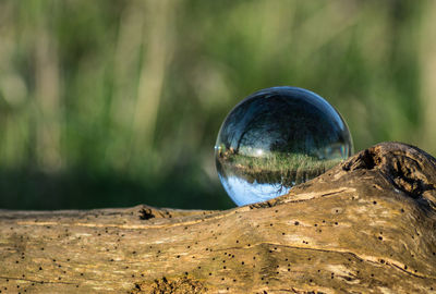 Close-up of crystal photo photograph ball showing reflection image