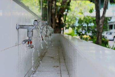 Water flowing from faucets against trees