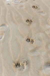 High angle view of footprints on sand at beach