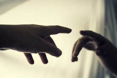 Close-up of hand touching leaf