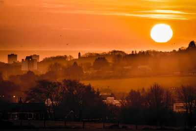 Silhouette trees and cityscape against sky during sunset