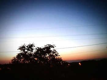 Silhouette of trees at sunset