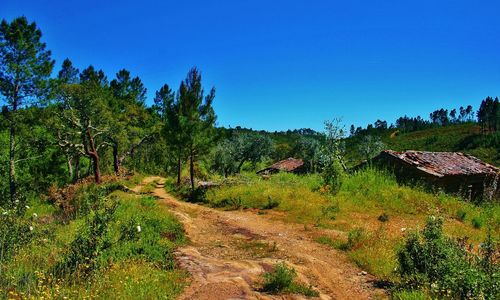 Scenic view of landscape against clear blue sky