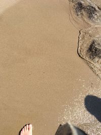 Low section of person standing on beach