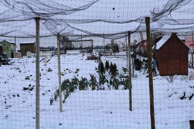 Snow on field against sky during winter