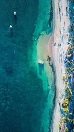 Aerial view of sea shore