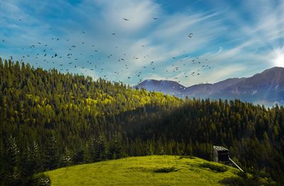 Scenic view of land against sky