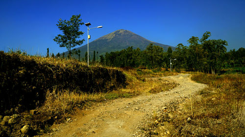 Road amidst plants and trees against clear blue sky