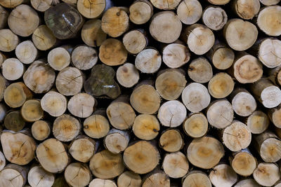 Full frame shot of logs in forest