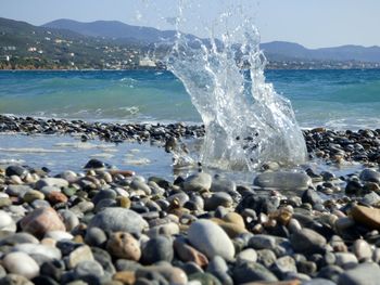 Scenic view of sea shore