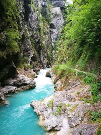 Scenic view of waterfall in forest