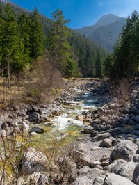 River flowing through rocks in forest