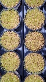 High angle view of vegetables for sale in market