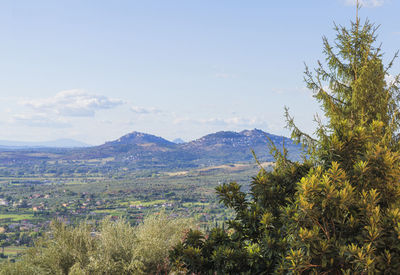Scenic view of landscape against sky