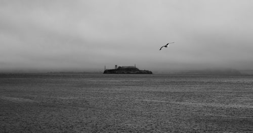 Seagull flying over sea against sky