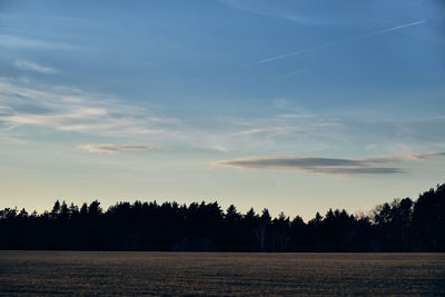 Silhouette trees on field against sky during sunset