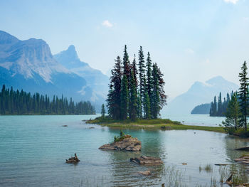 Scenic view of lake by trees against sky