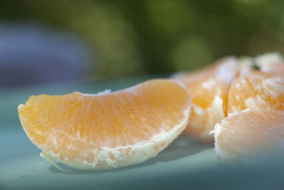 Close-up of oranges in plate