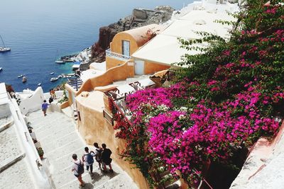 High angle view of people on flowering plants