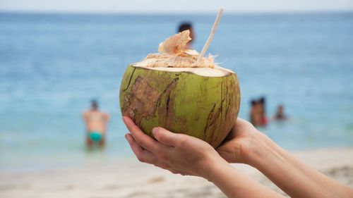 Cropped image of person holding coconut at beach