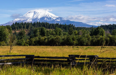 Scenic view of landscape against sky