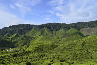 Scenic view of farm against sky