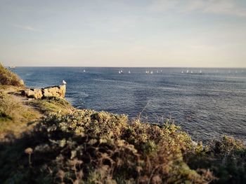 Scenic view of sea against sky