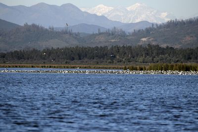 Scenic view of lake and mountains