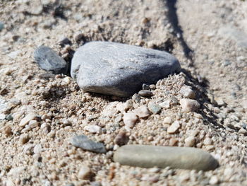 Close-up of pebbles on sand at beach