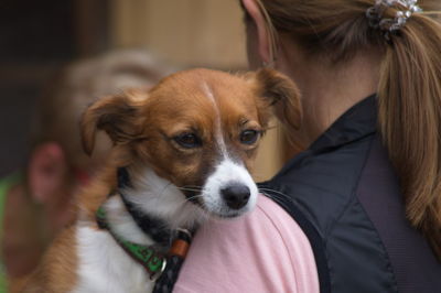 Close-up of dog