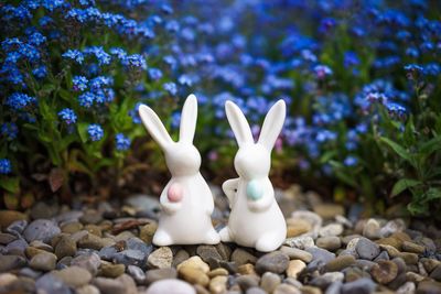 Close-up of rabbit figurines against plants